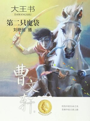cover image of 第二只魔袋
